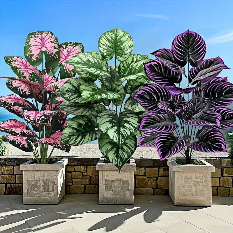 Fiddle Leaf Fig - 3 Buah 60Cm Set Tanaman Hijau
