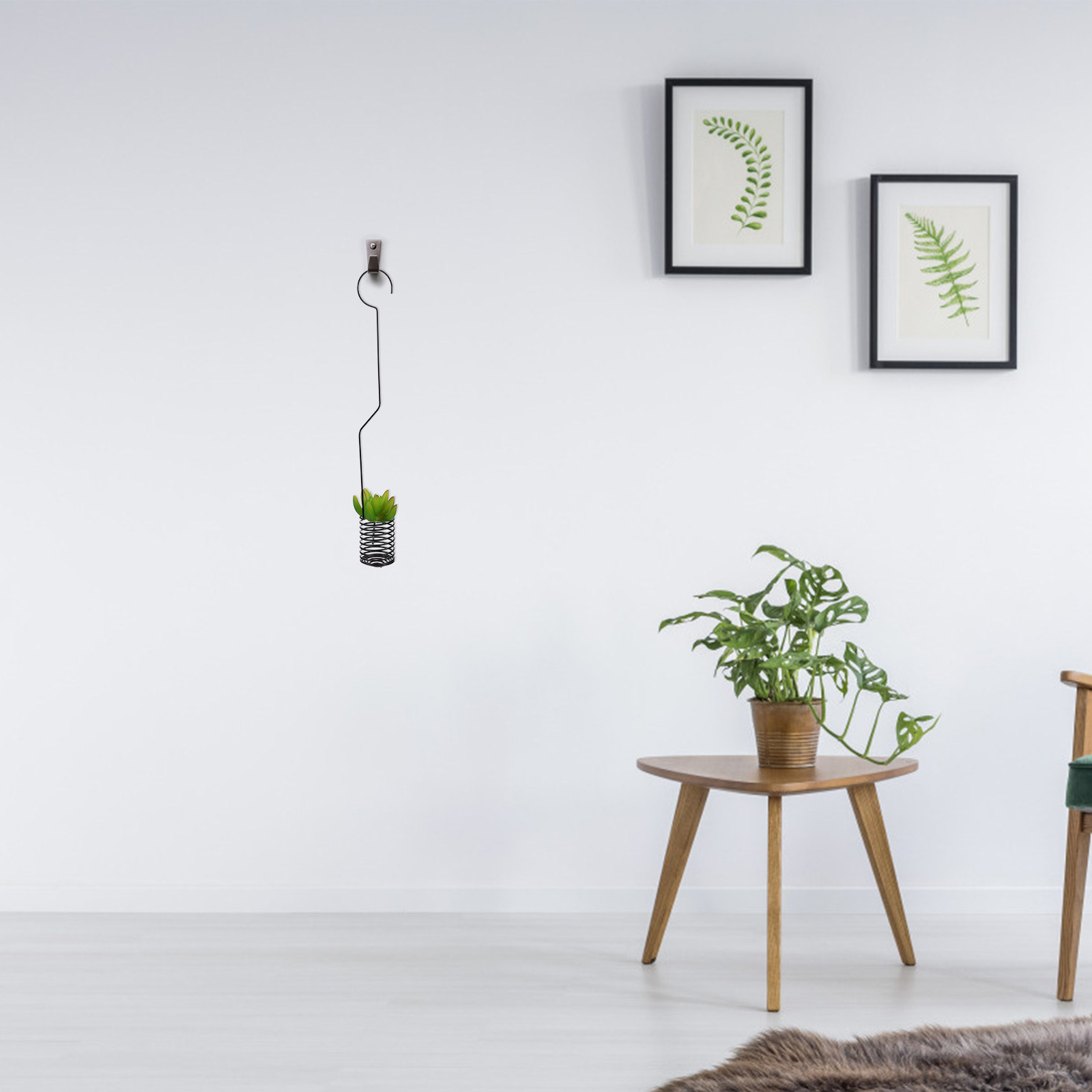 1Pcs Gantungan Tanaman Artisti - Air Plant Tillandsia ulasan dan harga