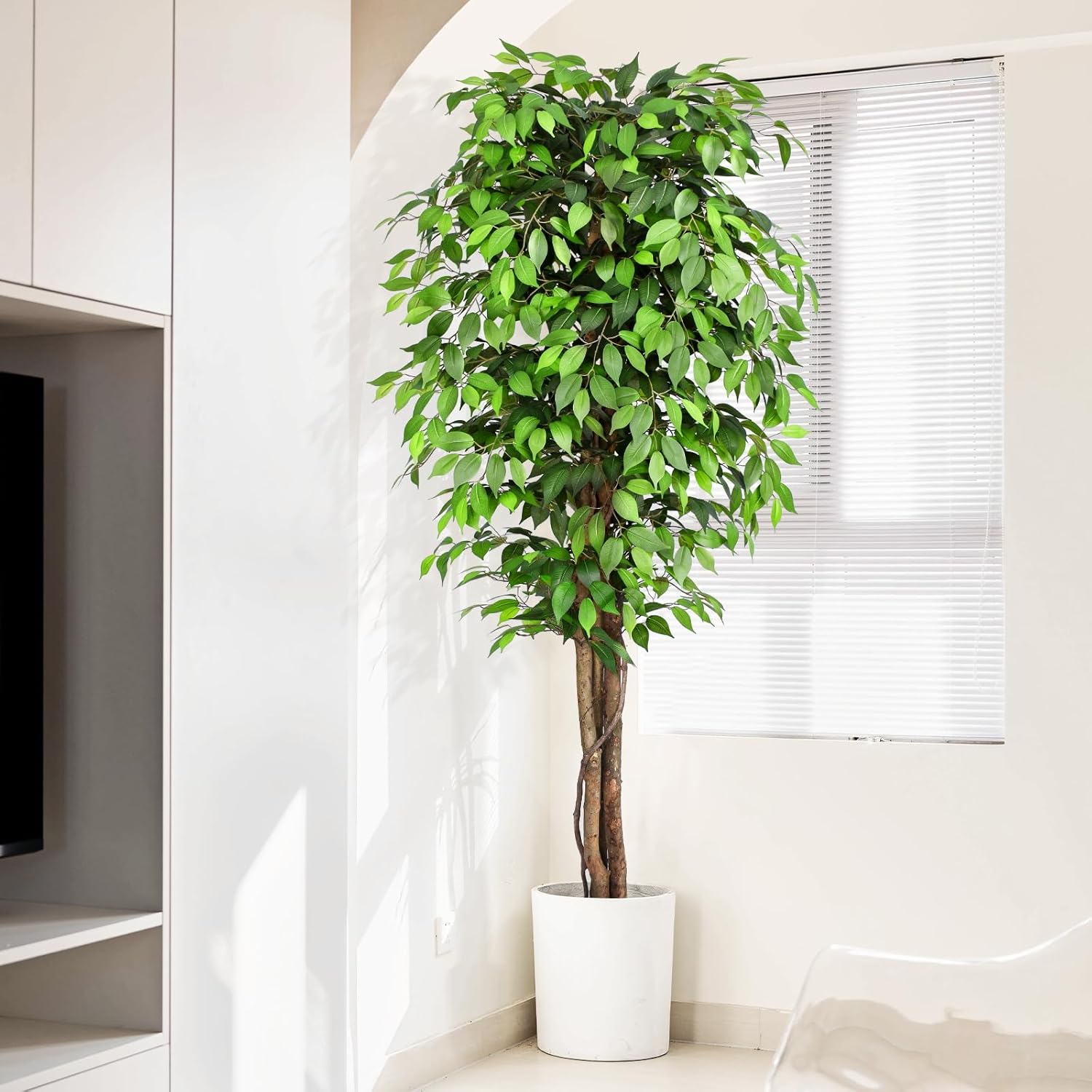 Pohon Ficus Buatan yang Mirip  - Fiddle Leaf Fig ulasan dan harga