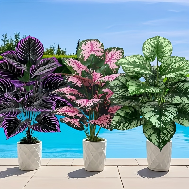 3 Buah 60Cm Set Tanaman Hijau  - Fiddle Leaf Fig ulasan dan harga