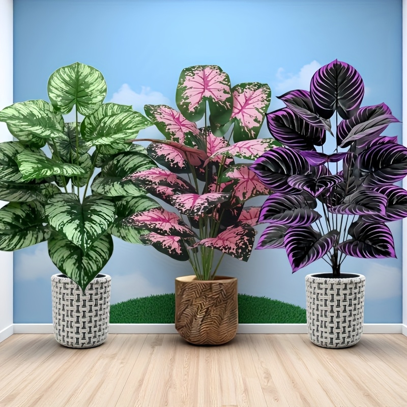 3 Buah 60Cm Set Tanaman Hijau  - Fiddle Leaf Fig ulasan dan harga