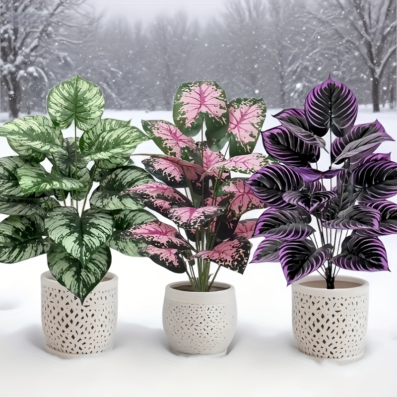 3 Buah 60Cm Set Tanaman Hijau  - Fiddle Leaf Fig ulasan dan harga
