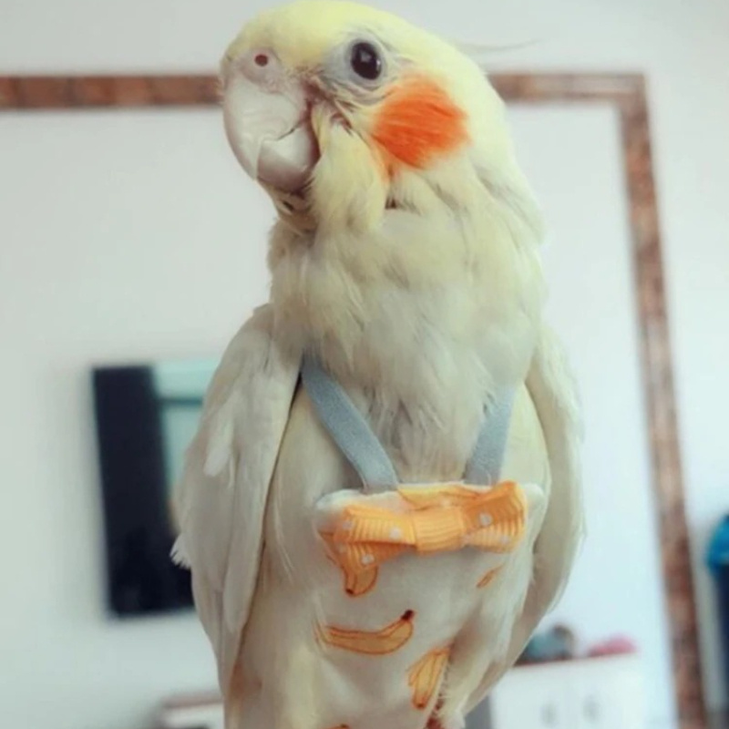 Popok Burung Beo dengan Dasi K - Plant Parenthood ulasan dan harga