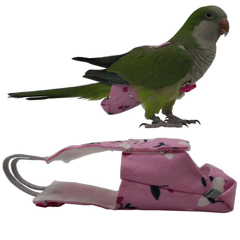 Popok Burung Beo dengan Dasi K - Plant Parenthood ulasan dan harga