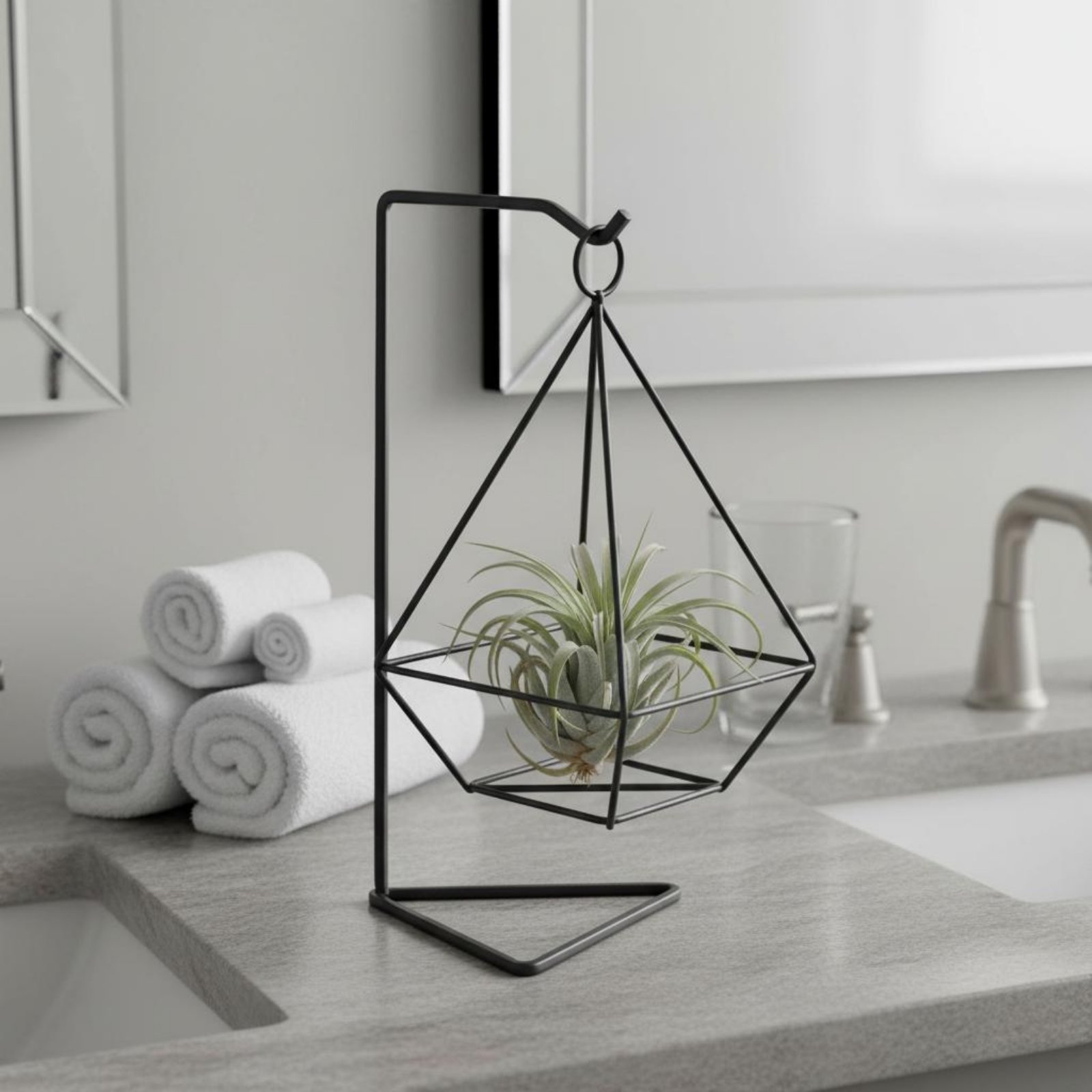 Tempat Tanaman Udara Geometris - Air Plant Tillandsia ulasan dan harga